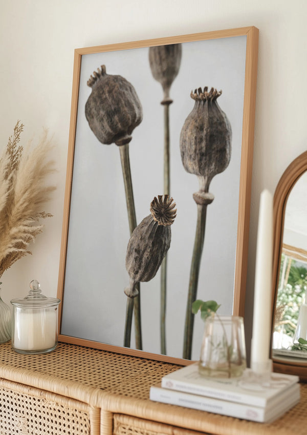 Tablou înramat „Dried_006” de Pictufy Studio III