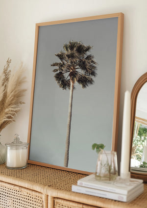 Tablou înramat „Palm_001” de Pictufy Studio III
