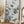 Tablou înramat „Eucalyptus_003” de Pictufy Studio III