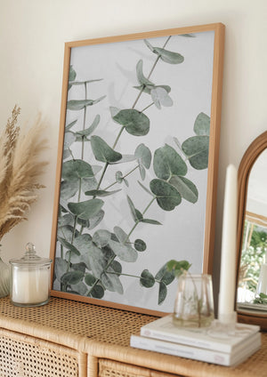 Tablou înramat „Eucalyptus_003” de Pictufy Studio III