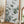 Tablou înramat „Eucalyptus_003” de Pictufy Studio III