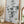 Tablou înramat „Eucalyptus_002” de Pictufy Studio III