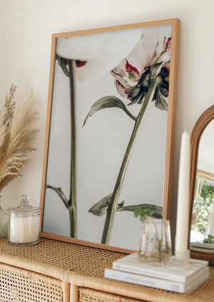 Tablou înramat „Peony 01” de Pictufy Studio III