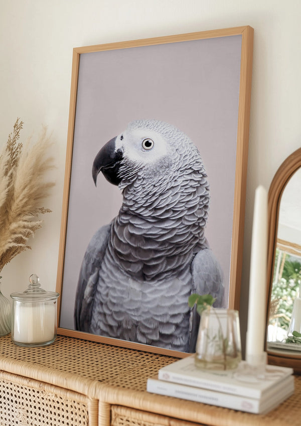 Tablou înramat „African Grey” de Kathrin Pienaar