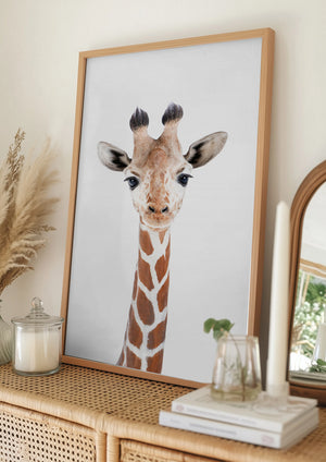 Tablou înramat „Baby Giraffe” de Kathrin Pienaar