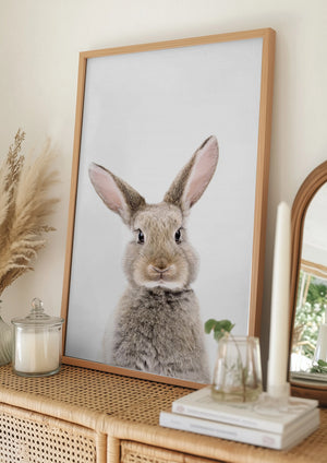 Tablou înramat „Baby Rabbit” de Kathrin Pienaar