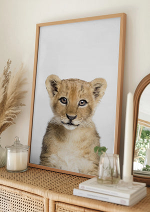 Tablou înramat „Baby Lion” de Kathrin Pienaar