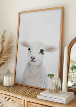 Tablou înramat „Baby Lamb” de Kathrin Pienaar