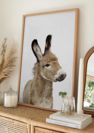 Tablou înramat „Baby Donkey” de Kathrin Pienaar