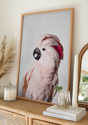 Tablou înramat „Pink Cockatoo” de Kathrin Pienaar