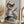 Tablou înramat „karate sloth” de Adam Lawless