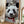 Tablou înramat „cat on panda bear” de Adam Lawless