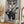 Tablou înramat „heavy metal cat” de Adam Lawless