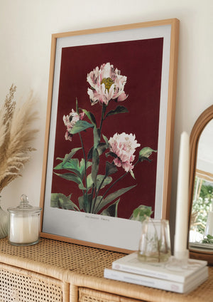 Tablou înramat „Hærdaceous Peony no2” de Ogawa Kazumasa