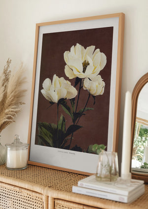 Tablou înramat „Hærdaceous Peony” de Ogawa Kazumasa
