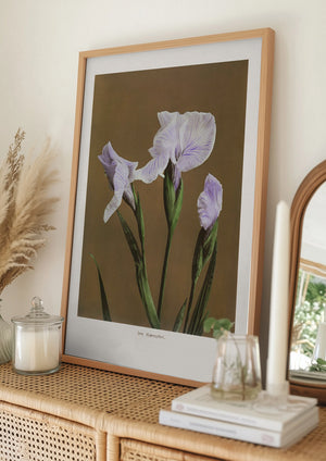Tablou înramat „Iris Kæmpferi no2” de Ogawa Kazumasa