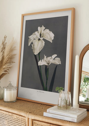 Tablou înramat „Iris Kæmpferi” de Ogawa Kazumasa