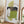 Tablou înramat „Green Dream-2” de Sally Ann Moss