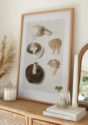 Tablou înramat „Common Meadow Mushroom, Agaricus Campestris Standing” de Anselmus Boëtius De Boodt