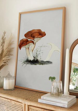 Tablou înramat „Hand Drawn Rufous Milkcap Mushroom” de Biodiversity Heritage Library