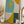 Tablou înramat „Rainbow Plus Shapes10” de Ana Rut Bre