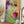 Tablou înramat „Vibrant Blossoms” de Dorothy Fagan
