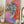 Tablou înramat „Vibrant Petals” de Dorothy Fagan