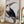 Tablou înramat „Red Billed Toucan” de Aert Schouman