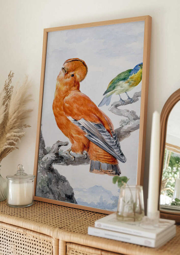 Tablou înramat „Two Exotic Birds” de Aert Schouman