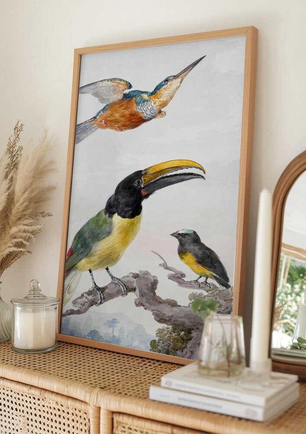 Tablou înramat „Three Birds  a Kingfisher, a Prince Von Wied's Toucan and an Sparrow” de Aert Schouman
