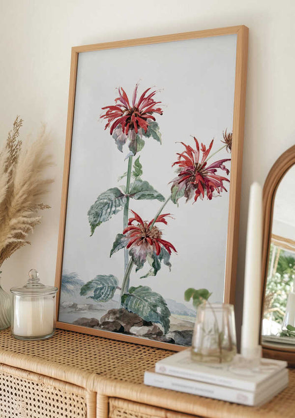 Tablou înramat „A Red Bergamot In a Landscape” de Aert Schouman