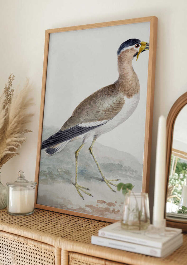 Tablou înramat „A Yellow Wattled Lapwing” de Aert Schouman
