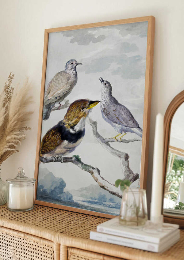 Tablou înramat „Three Birds, Two Inca Pigeons and a Collared Bearded Cuckoo” de Aert Schouman