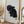Tablou înramat „Head of a Cockatoo” de Aert Schouman
