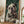 Tablou înramat „The Gentleman Bulldog” de SHANDU