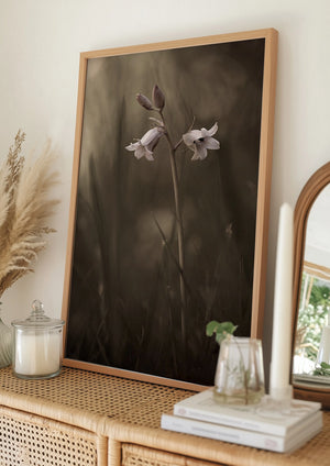 Tablou înramat „A small flower on the ground” de Allan Wallberg