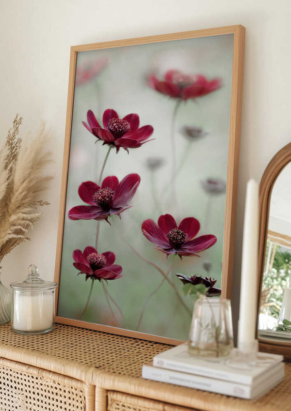 Tablou înramat „Cosmos sway” de Mandy Disher