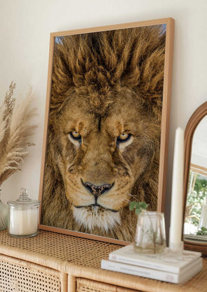 Tablou înramat „Serious Lion” de Mike Centioli