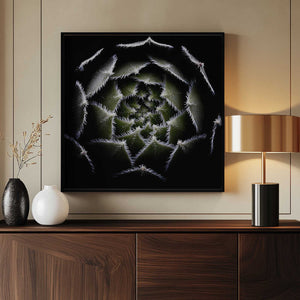 Tablou înramat „Sempervivum Rosette” de Victor Mozqueda