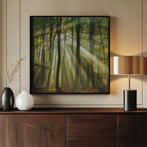 Tablou înramat „Sunny start to the day ........” de Piet Haaksma