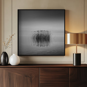 Tablou înramat „Black and White Silence” de George Digalakis