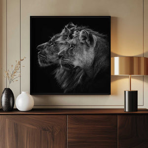 Tablou înramat „Lion and  lioness portrait” de Laurent Lothare Dambreville