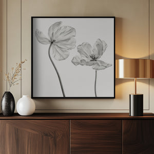Tablou înramat „Same tulip : front- and backview” de Lotte Grønkjær