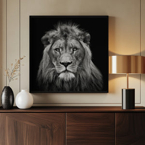 Tablou înramat „Young Male Lion” de Christian Meermann