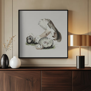 Tablou înramat „Vintage Agaricus Augustus Mushroom” de Biodiversity Heritage Library