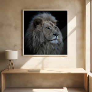 Tablou înramat „Proud Lion” de Louise Wolbers