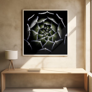 Tablou înramat „Sempervivum Rosette” de Victor Mozqueda