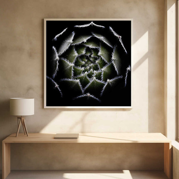 Tablou înramat „Sempervivum Rosette” de Victor Mozqueda