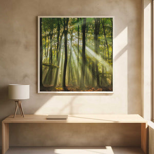 Tablou înramat „Sunny start to the day ........” de Piet Haaksma