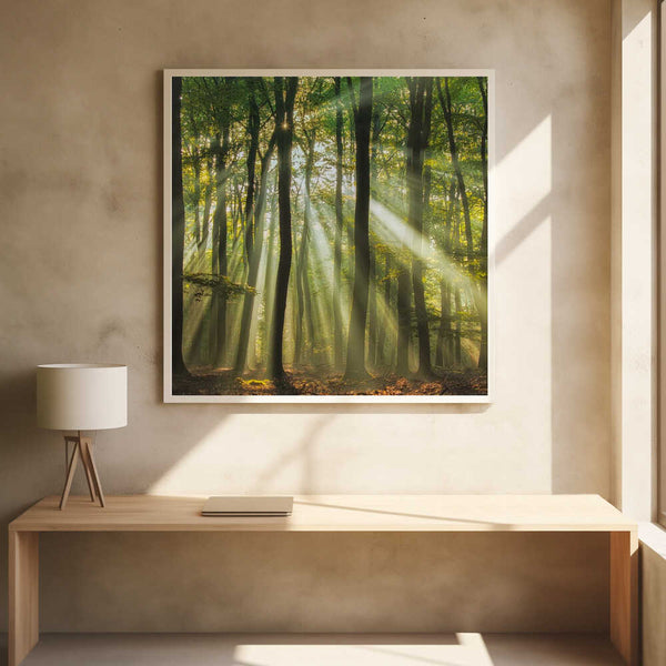 Tablou înramat „Sunny start to the day ........” de Piet Haaksma